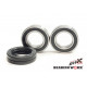 BEARING WORX ŁOŻYSKA KOŁA TYLNEGO Z USZCZELNIACZAMI YAMAHA YFM 660 RAPTOR 01-05, YFS 200/350 (25-1313)