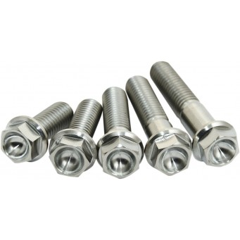 TITANIUM BOLT M8X30 PACK OF 2