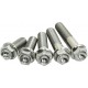 TITANIUM BOLT M8X45 PACK OF 4