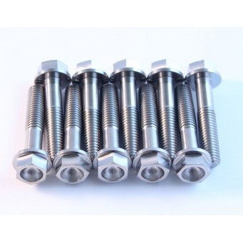 TITANIUM BOLT M8X35 PACK OF 2