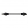 POLOS TYLNA POLARIS RZR PRO XP 4 1000 TURBO 2020-