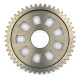 Pinion Gear, 46 Teeth