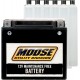 BATTERY MUD YTZ10S-BS