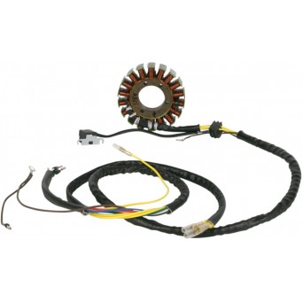 STATOR MUD POLARIS