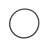 ORING 45 X 2