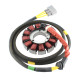 ALTERNATOR CAN AM G2 2025