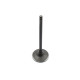 ZAWOR SSACY TGB 550
