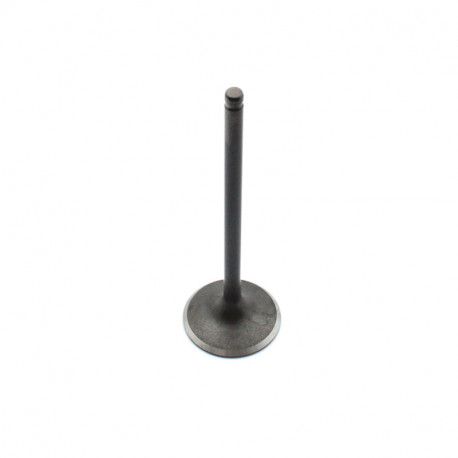 ZAWOR SSACY TGB 550