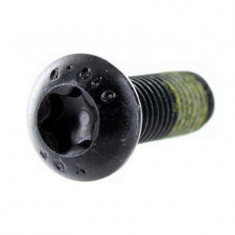 SRUBA TORX BUTTON HEAD M8 X 25 CAN AM OUTLANDER RENEGADE MAVERICK