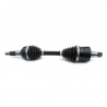 POLOS TYLNA CF MOTO 850 1000 G3