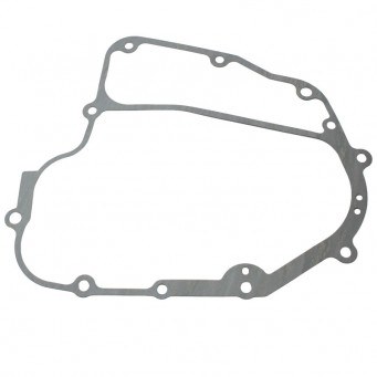 USZCZELKA ALTERNATORA POLARIS PHOENIX 200