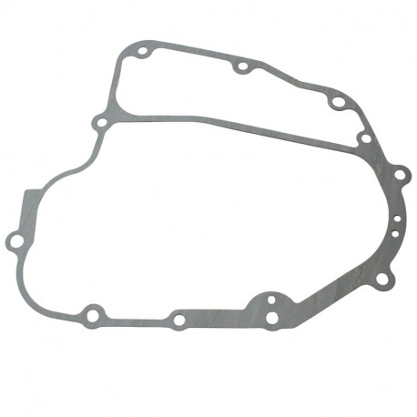 USZCZELKA ALTERNATORA POLARIS PHOENIX 200