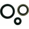 MTR SLS POLARIS 325-500 4-STR