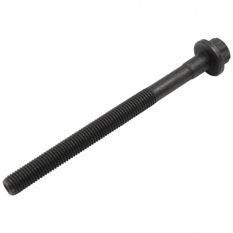 SRUBA CAN AM TORX M9 X 113