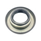 OIL SEAL (34X70X11)