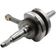 WAL KORBOWY CF MOTO 625 KOMPLETNY