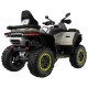BENDA REDSTONE 550 R EXCLUSIVE BLACK ROK PRODUKCJI 2026