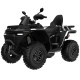 BENDA REDSTONE 550 R EXCLUSIVE BLACK ROK PRODUKCJI 2026