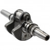 WAL KORBOWY CF MOTO 850 G3 MARK B