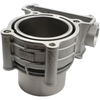 CYLINDER CF MOTO C5 GOES TERROX 550