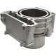 CYLINDER CF MOTO C5 GOES TERROX 550
