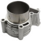 CYLINDER CF MOTO C5 GOES TERROX 550