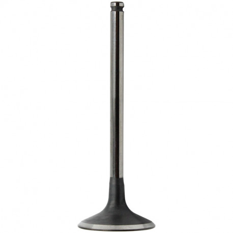 ZAWOR SSACY CF MOTO 625 -23