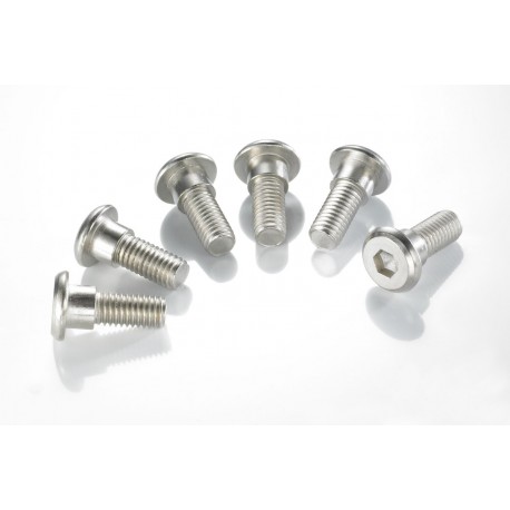 BRAKE DISC BOLT M6x1 25x20 6PK