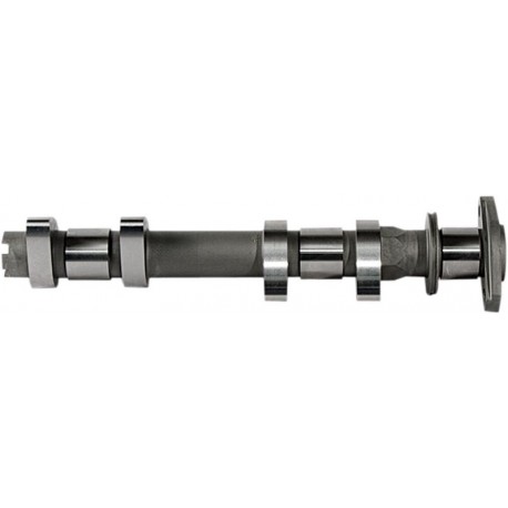 CAM INTAKE RZR XP 900