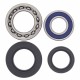 BEARING KIT WHEEL RR (25-1014)