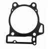 USZCZELKA POD CYLINDER CAN AM DS 450