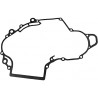 USZCZELKA KARTERA CAN AM DS 450