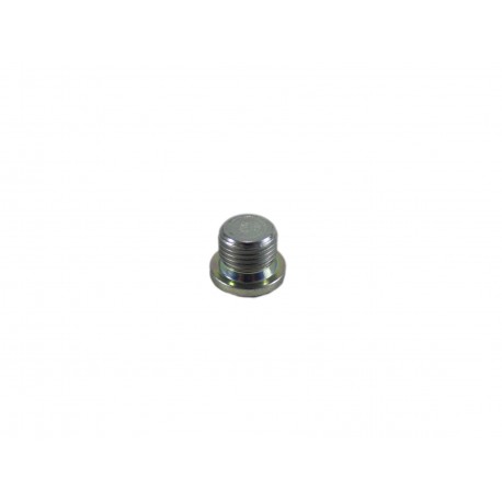 Plug Screw M16 X 1.5