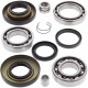 ZESTAW NAPRAWCZY DYFRA TYLNEGO HONDA TRX350 00-06 TRX 400 04-07
