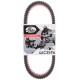 PAS ARCTIC CAT 1000 GATES