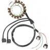 ALTERNATOR YAMAHA BIG BEAR 350 WARRIOR 350