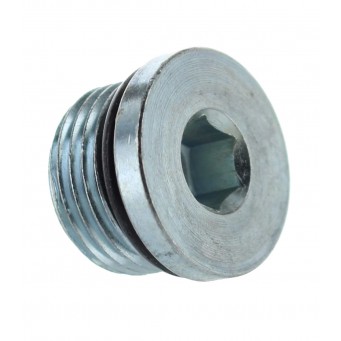 PLUG, 3/4-16 HOLLOW HEX