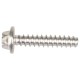 FLANGED TORX SCREW M6 X 30