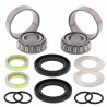 ZESTAW NAPRAWCZY WAHACZA TYLNEGO KAWASAKI KVF 650 BRUTE FORCE