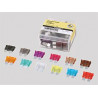 BEZPIECZNIK STANDARD SIZE 30A 50PK