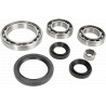 ZESTAW NAPRAWCZY DYFRA TYL YAMAHA GRIZZLY 550 700