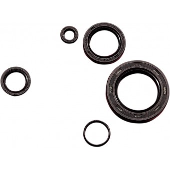 OIL SEAL KIT ATC/TRX250R