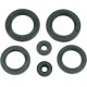 OIL SEAL KIT POLARIS